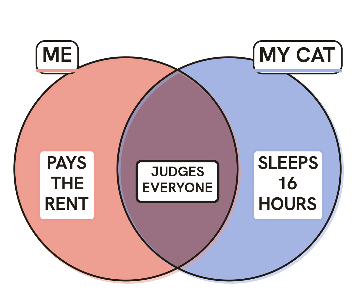 Me vs My Cat Venn Meme