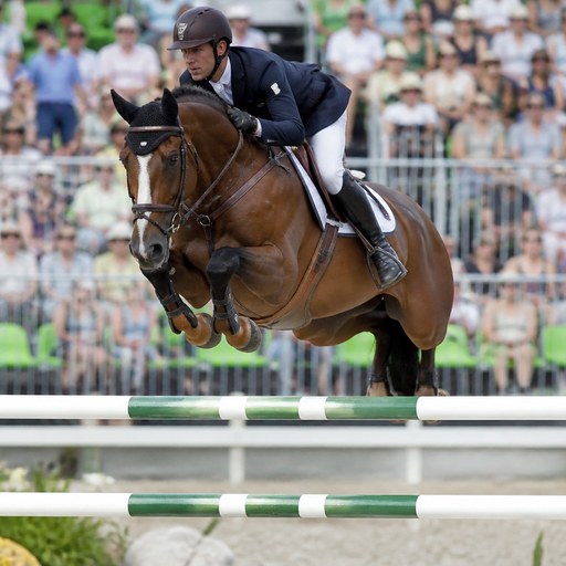 Equestrian