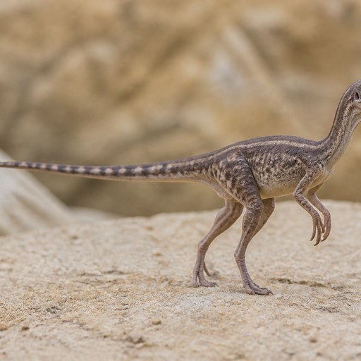 Compsognathus